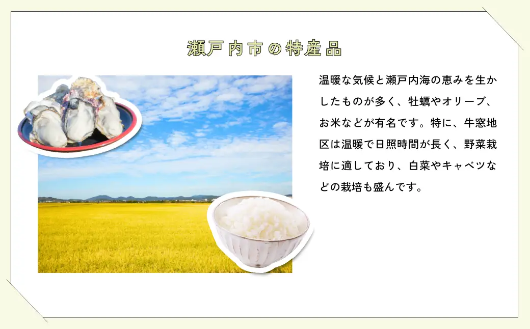 米 令和7年産 にこまる 精米 10kg (5kg×2袋)