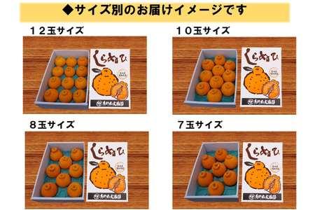 【期間限定発送】じゅわーっと甘い 不知火 約3kg（ハウス栽培・化粧箱入り）
