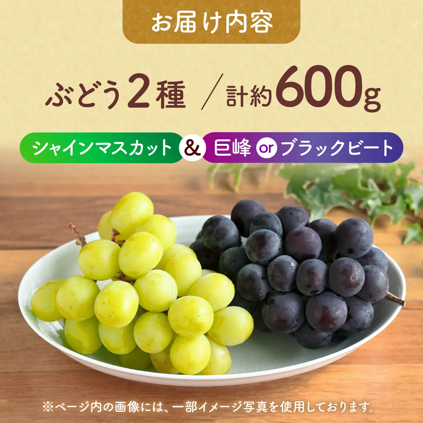 先行予約 訳あり種なしぶどう2種食べ比べ計約600g(シャインマスカット&巨峰orブラックビート)ぶどうシャインマスカットZFO004