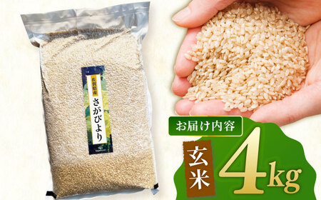 さがびより 玄米 4kg【ももさき農産】特A 特A評価[HCG018]玄米