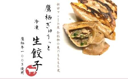 鷹栖牛 生餃子セット たかすぎゅうっと生餃子 10個入り×2パック 合計20個 北海道 鷹栖町 新田ファーム 牛肉 冷凍餃子 生餃子 牛肉 冷凍