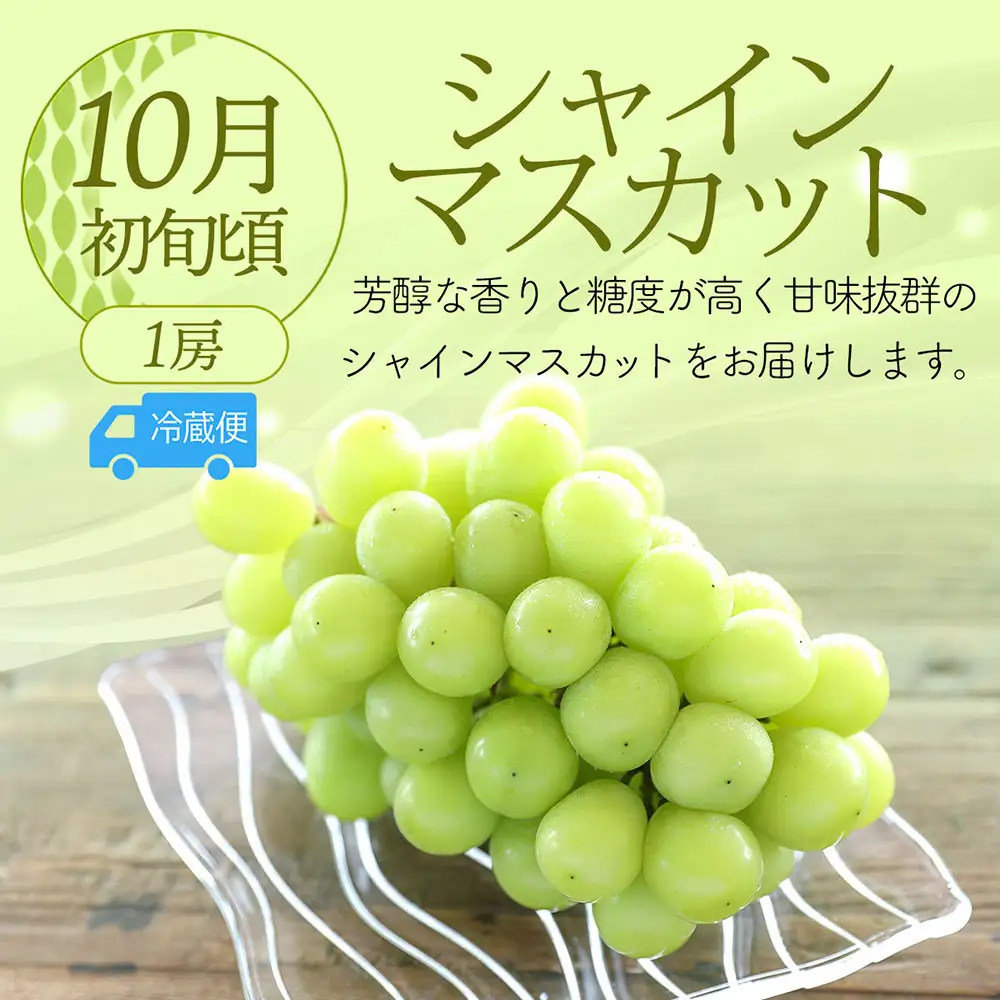 【R8.8月中旬より発送開始】食の都庄内 厳選フルーツ便C（入金期限：2026.7.31）アールスメロン 和梨 シャインマスカット 全3回配送 常温便 冷蔵便