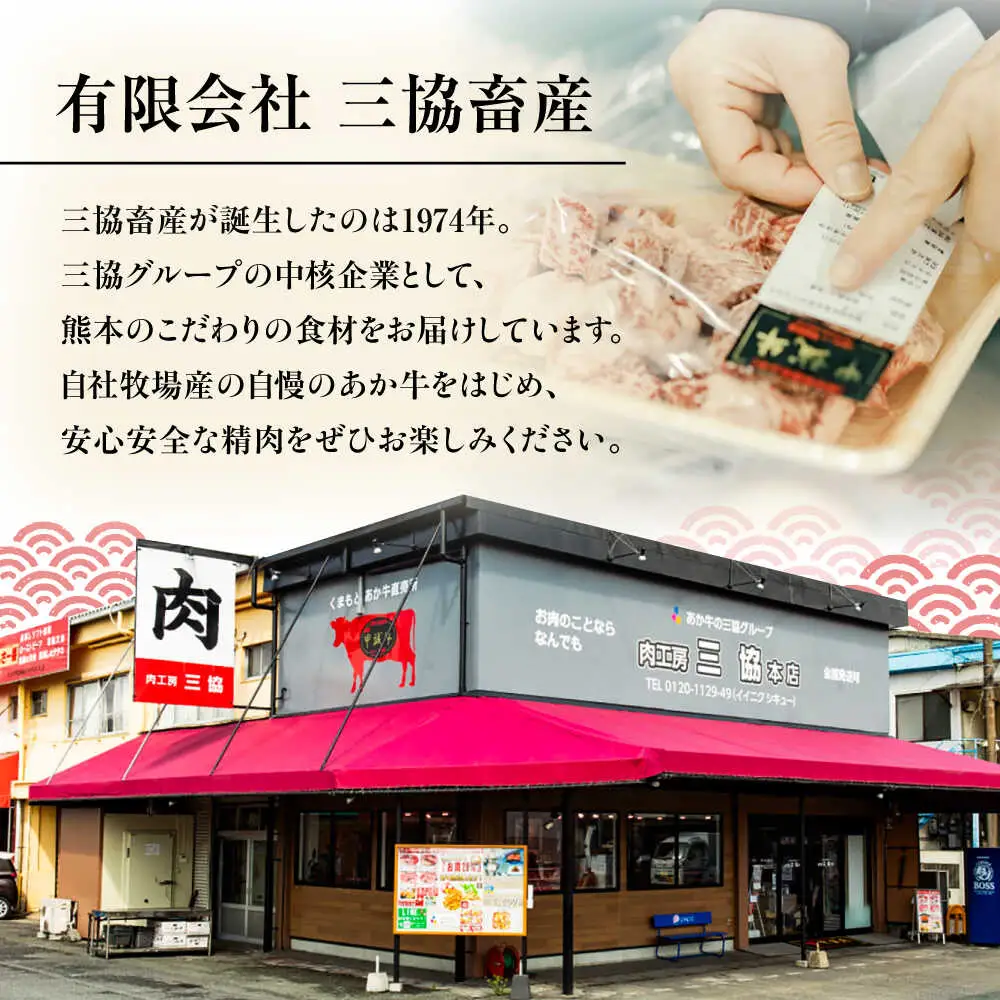 12回定期便 GI認証 くまもとあか牛三角バラ ステーキ 約120g×4枚 BHAS095 ステーキ