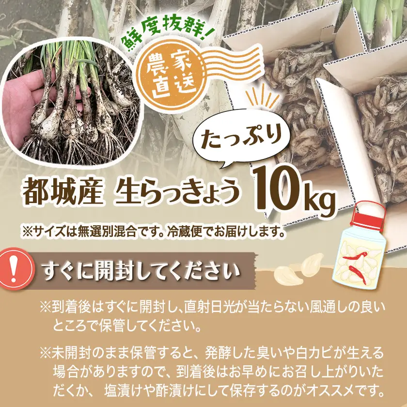 【先行受付!】根付き土付き生らっきょう10kg≪2027年5月中旬以降順次お届け≫〔24-L7-001-10kg〕_(都城市) 