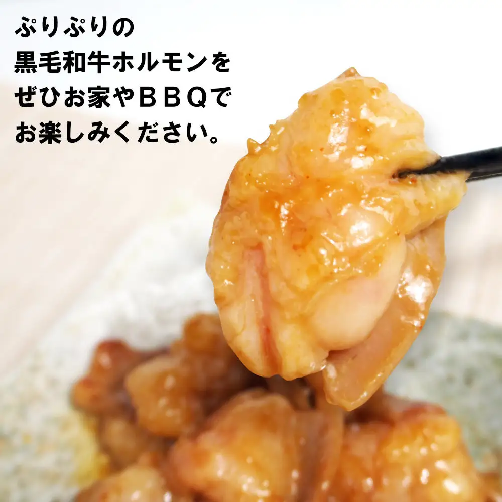 黒毛和牛ホルモン味噌だれ漬け600g（200g×3）