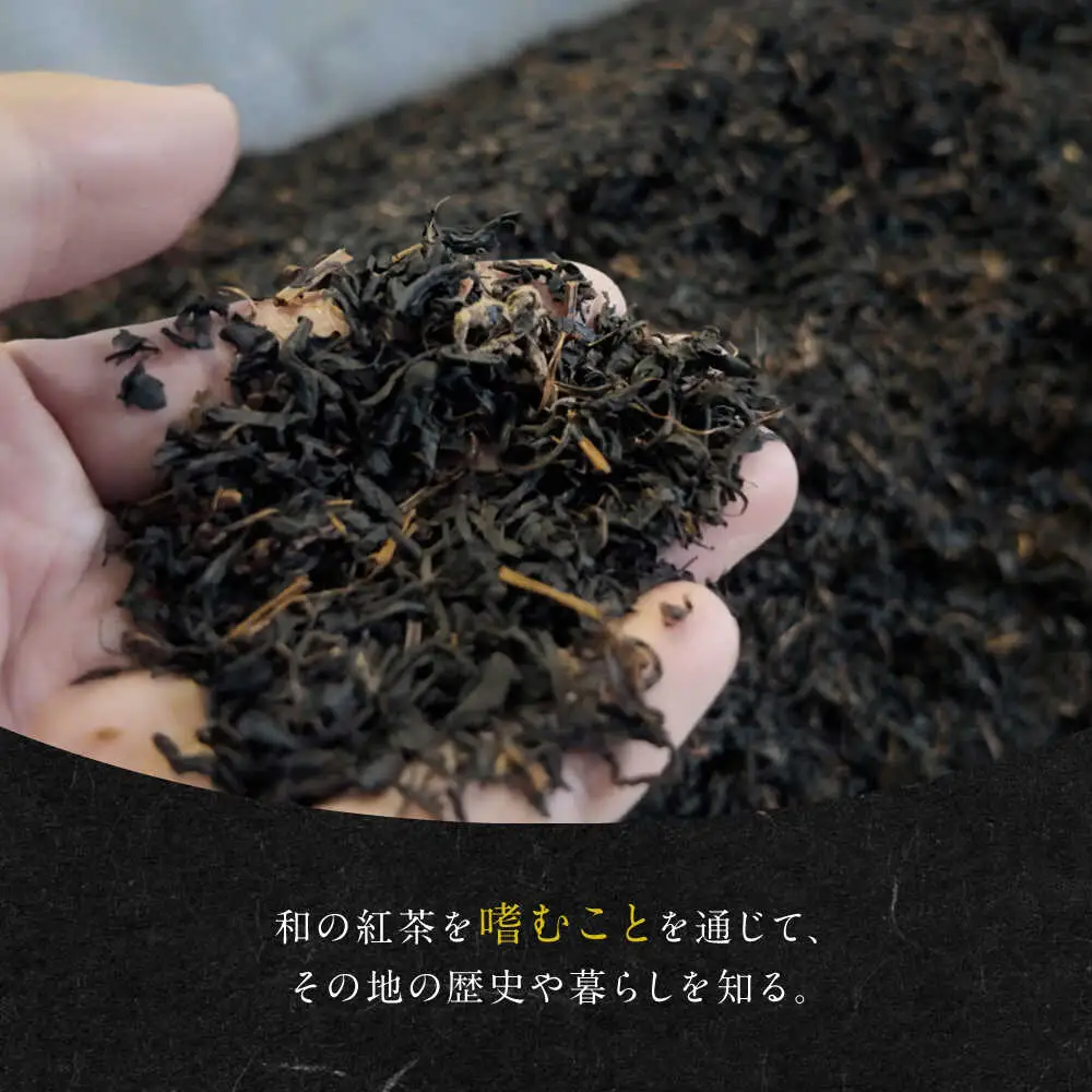 発酵和茶 trinitea 一番茶・二番茶ティーバッグセット 化粧箱入り / ヨリスグリ[AWBV002]和紅茶ティーバッグ
