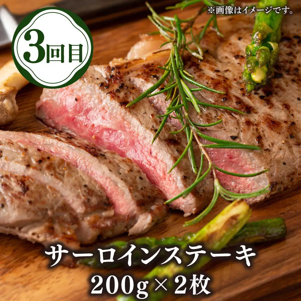 【全3回定期便】壱岐牛定期便（壱岐牛ステーキ、しゃぶすき、焼き肉セット）2人前《壱岐市》【壱岐市農業協同組合】壱岐牛 すき焼き ステーキ しゃぶしゃぶ 焼肉 [JBO165]