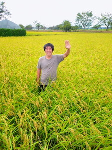 令和8年度産 とちぎの星10kg 栃木県芳賀町産玄米 | 米 お米 玄米 令和8年産 新米 とちぎの星 国産 単一米 期間限定 季節限定《2026年9月中旬-2027年1月末頃出荷予定》