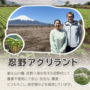 忍野二八そば　生冷凍麺 260g×4袋　計1040g