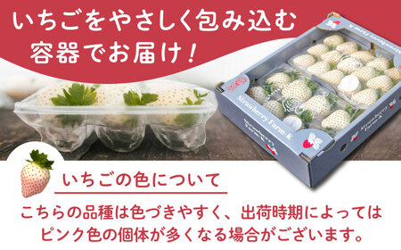 先行予約 2027年1月〜発送 こころの色 220g×2パック / いちご [IBJ010]