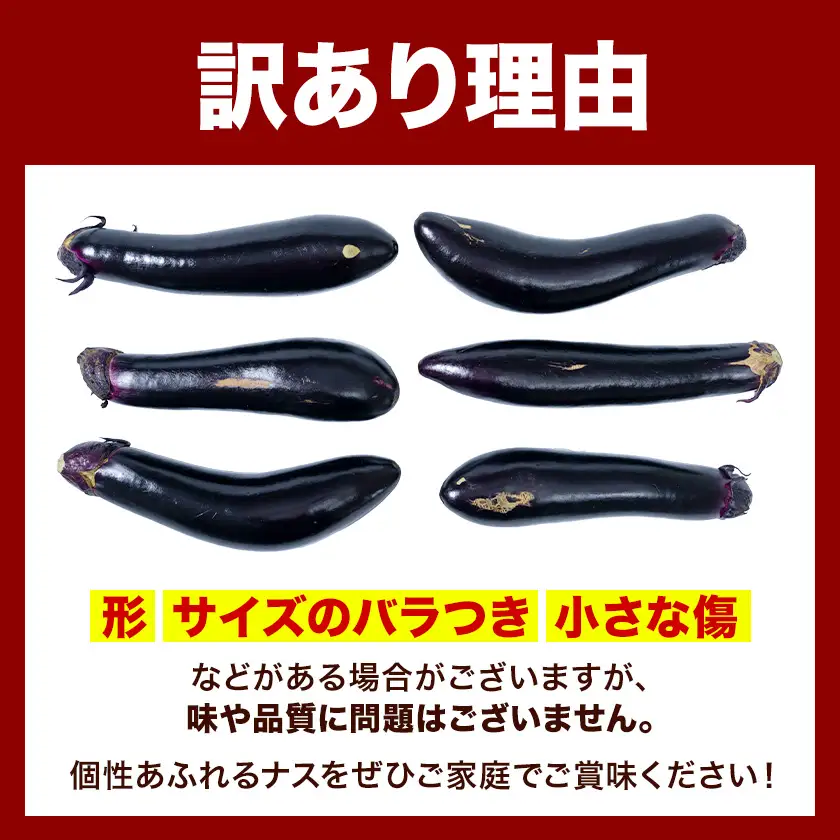 訳あり 筑陽なす 約5kg 25-30本 ナス 茄子 さつま園芸組合《7月上旬-9月末頃出荷》