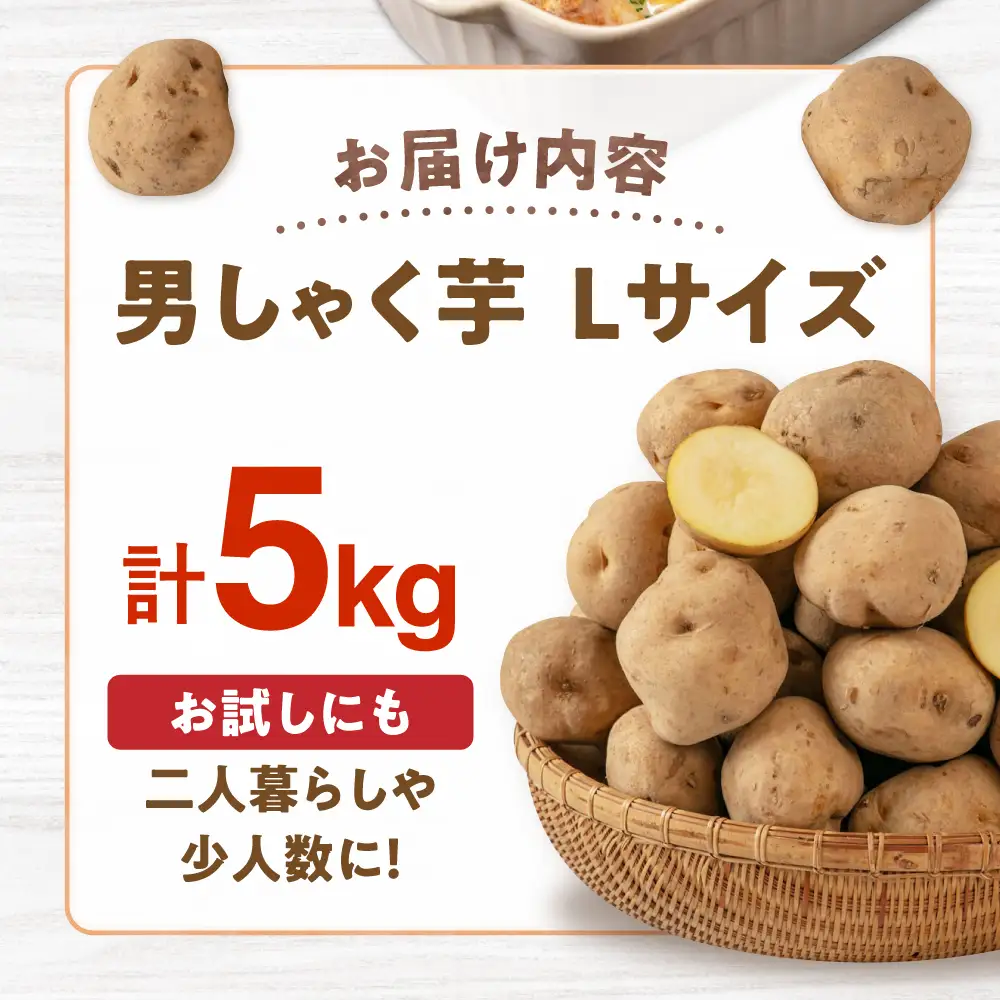 【ふるなびWEEK対象】じゃがいも 男爵芋 5kg  [AJAK027] じゃがいも