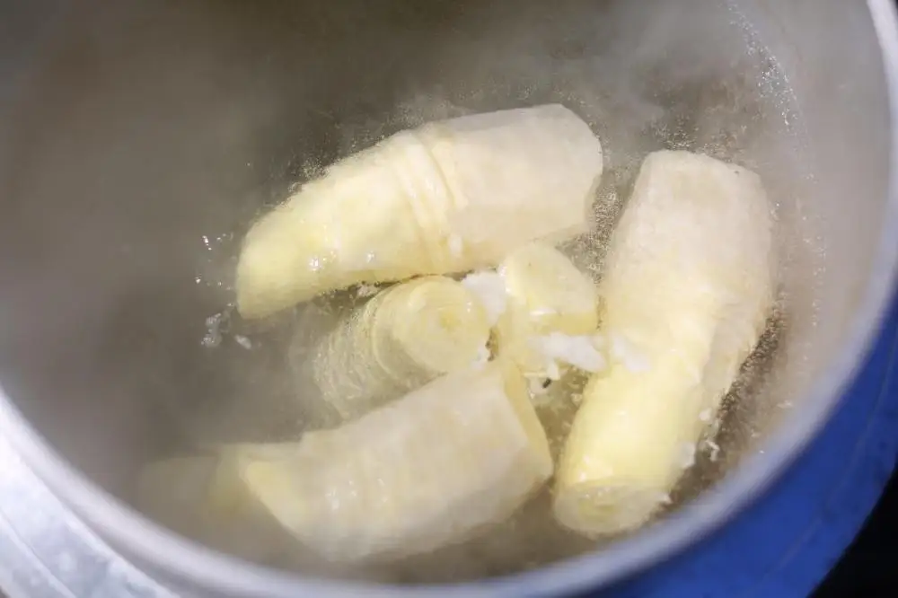 予約受付【筍農家】京都産 朝堀り たけのこ 優秀品 1KG（2-5本） [ 京都 筍専門店 たけのこ 朝掘り直送 新鮮 人気 おすすめ おいしい タケノコ 季節限定 お取り寄せ 通販 送料無料 ふるさと納税 ]	