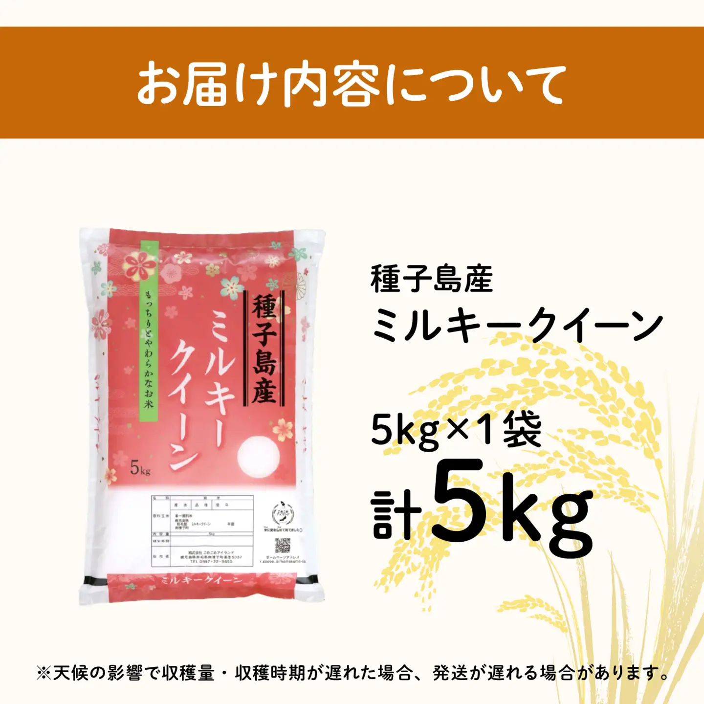令和8年産 新米 ミルキークイーン 5kg  お米 こめ コメ 精米 白米 南種子町 鹿児島 かごしま【株式会社こめこめアイランド】