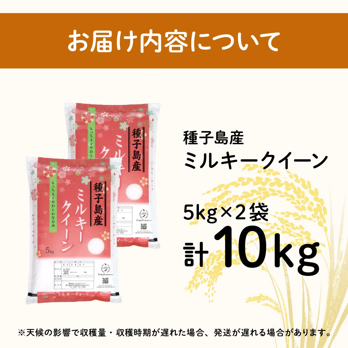 令和8年産 新米 ミルキークイーン 10kg  お米 こめ コメ 精米 白米 南種子町 鹿児島 かごしま 【株式会社こめこめアイランド】