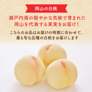 白桃 雲岡園芸 高島屋選定品 岡山県産 白桃【6～10玉 約2kg】【先行予約】