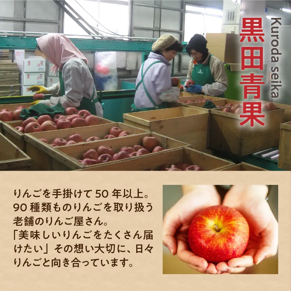 【2026年12月前半発送】【ちょっと訳あり】 りんご 約3kg サンふじ 青森県産 りんご