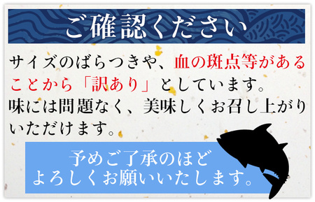 ＜訳あり 超冷薫 冷凍ぶりスライス 合計80枚（10g 10枚入り×8パック）3カ月定期便＞ブリ 鰤 魚介類 水産物 海鮮 海産物 国産 新鮮 刺身 寿司 丼 血抜き 株式会社SakuSaku 愛媛県 西予市 【冷凍】『1か月以内に初回発送予定』USA0014