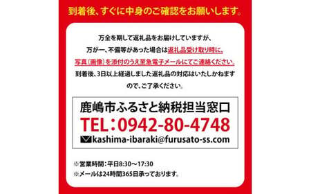 ★新米 令和7年★ 米 精米 白米 10kg （5kg×2袋）「こしひかり」先行予約 鹿嶋市産【令和7年産 コシヒカリ 5キロ 10キロ お米 コメ ごはん ライス ブランド米 茨城県 鹿嶋市】(KEJ-2)