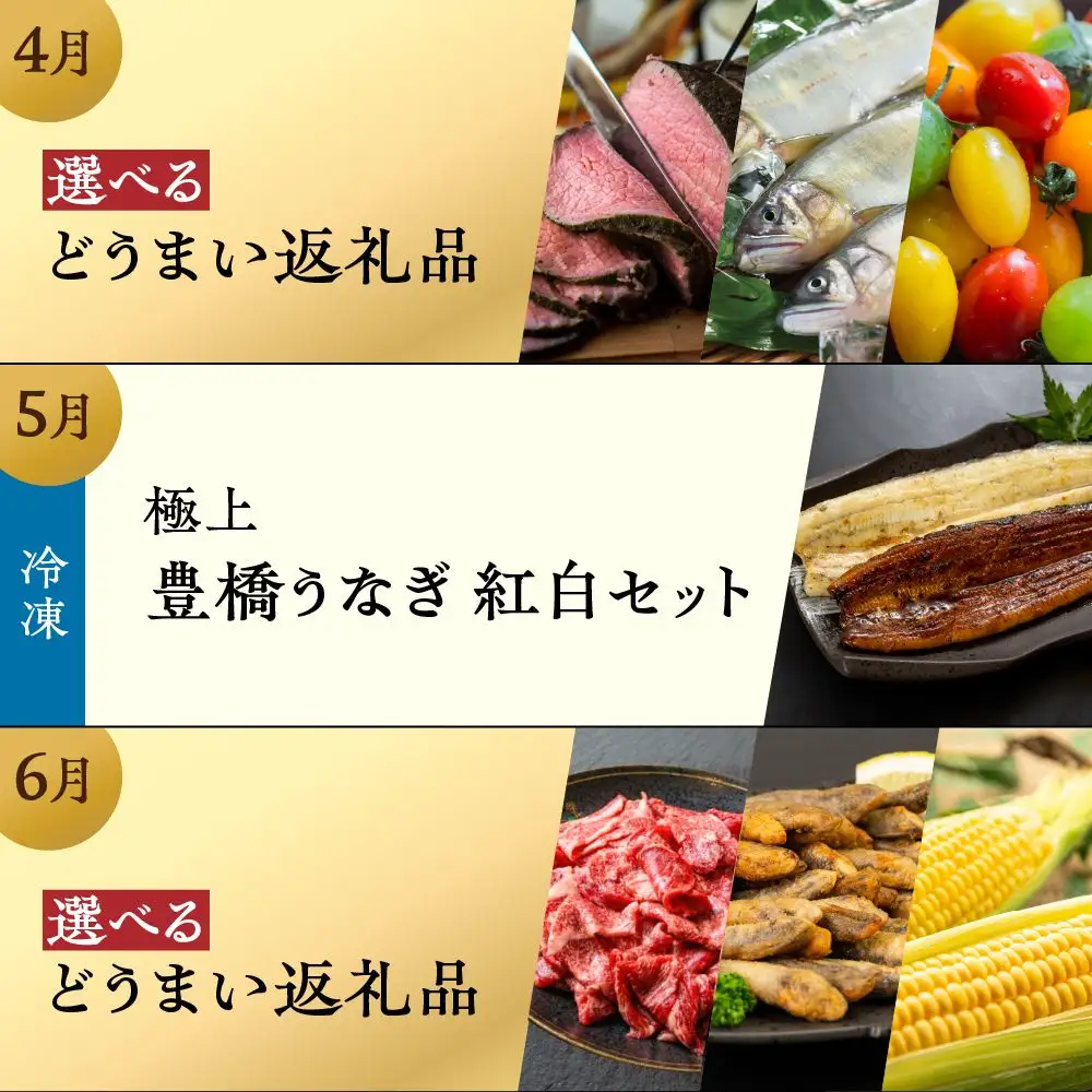 【肉コース】穂の国の恵み どうまい 定期便 全12回 肉コース /  定期便 定期便