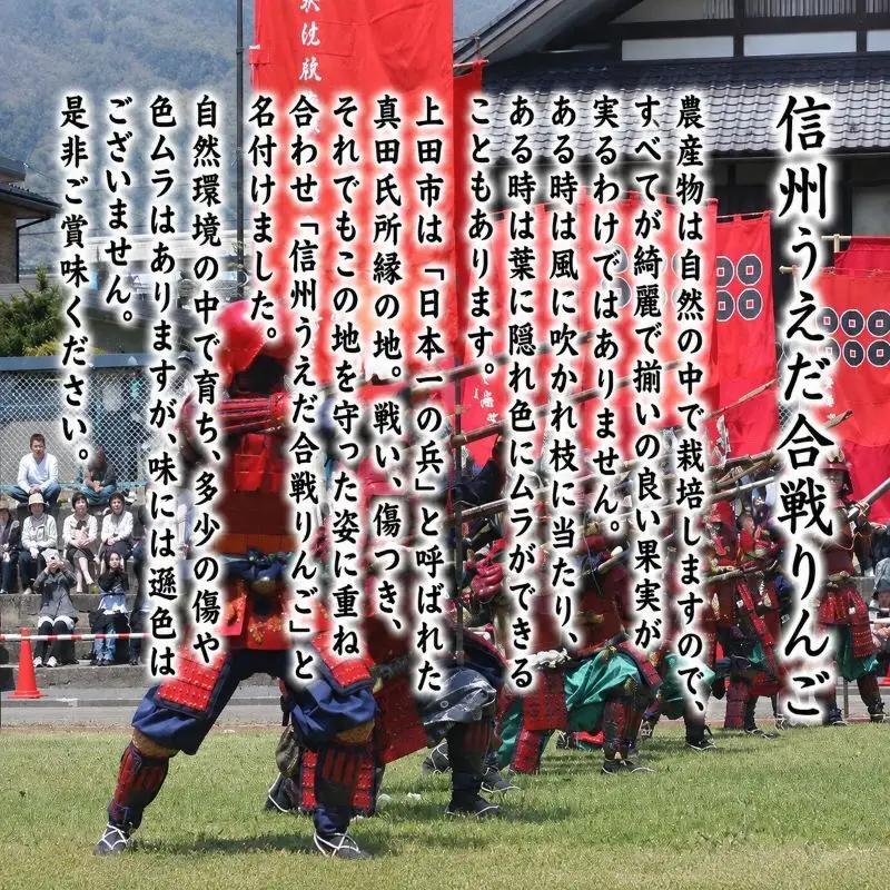 訳あり りんご JA信州うえだ 合戦りんご サンふじ 約5kg（10玉～20玉） リンゴ 林檎 ふじ 果物 くだもの フルーツ 信州 長野 離乳食 訳アリ わけあり 傷
