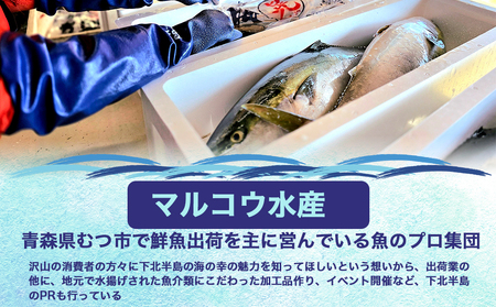 【予約商品】津軽海峡　大間産　極上本マグロ　刺身用サク　赤身