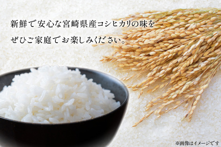 米 訳あり 令和8年 宮崎県産 コシヒカリ 白米 10kg