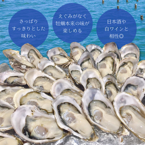 あまべ牡蠣 冷凍 1kg 牡蠣 シングルシード 生食用 殻付き かき カキ オイスター 生ガキ 生牡蠣 生がき 生かき