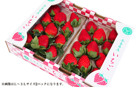 平群 の 古都華 いちご L ~ 3L サイズ から 2種 （2パック2ケース）計4パック 苺屋小東 | フルーツ いちご 古都華 先行予約 奈良県 平群町