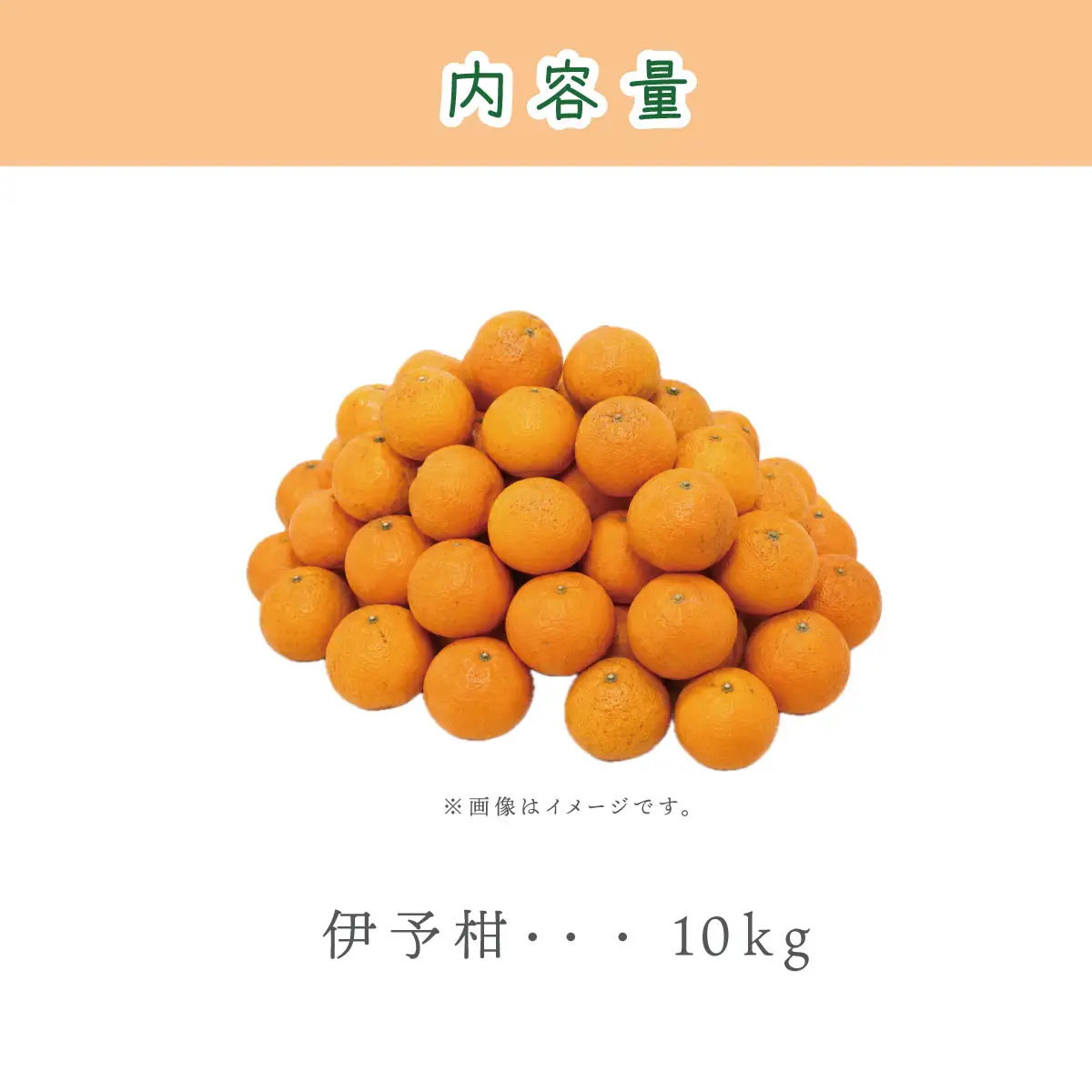 【先行受付】愛媛県産 伊予柑 10kg 2L～L みかん いよかん
