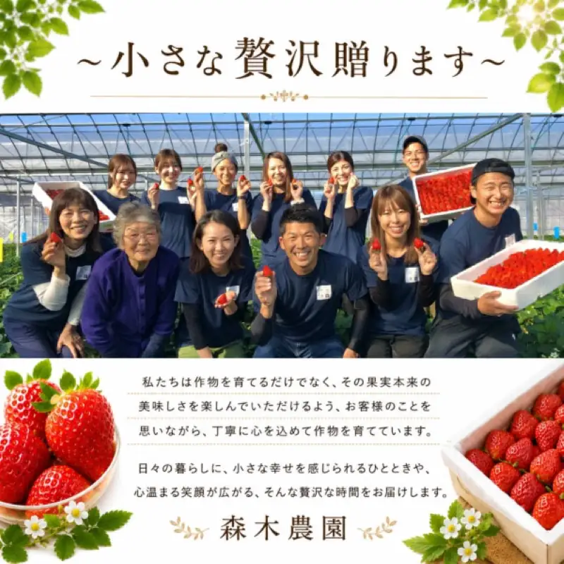 冷凍いちご 1kg きらぴ香 冷凍いちご 【森木農園】