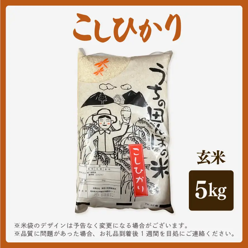 【先行予約】【令和8年産】こしひかり 5kg【玄米】【2026年10月中旬以降順次発送】 [e26-a015_02]