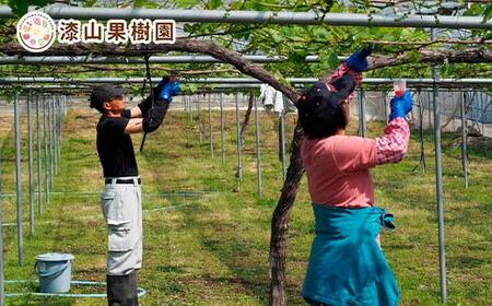 果樹園生まれの 果汁70%ぶどうジュース 「 デラウェア70 」 200ml 4本セット 『漆山果樹園』 山形県 南陽市 [2299]