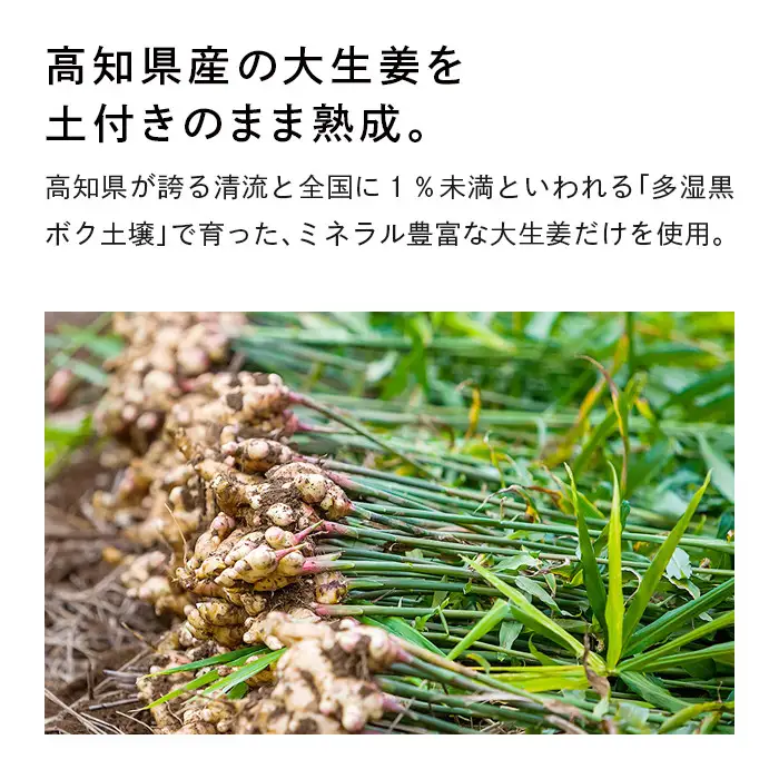ReFa HEAT ON GINGER | リファ 飲料 ジンジャードリンク 美容 温活 冷え性 生姜 美容ドリンク インナーケア