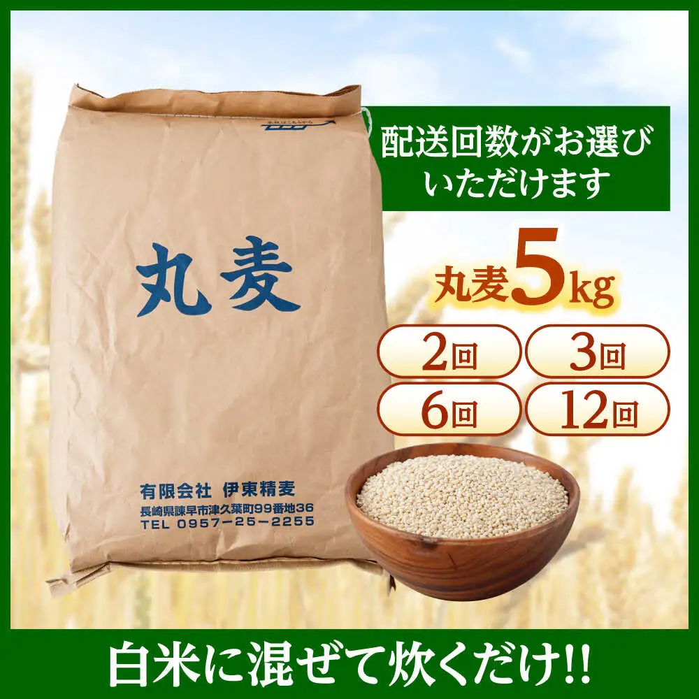 もち麦よりも『ぷりっ』とした弾力 【2回定期便】長崎県産 丸麦 5kg / 麦 むぎ 雑穀 雑穀米 麦ごはん 麦飯 麦みそ 食物繊維 / 諫早市 / 有限会社伊東精麦 [AHBU013]