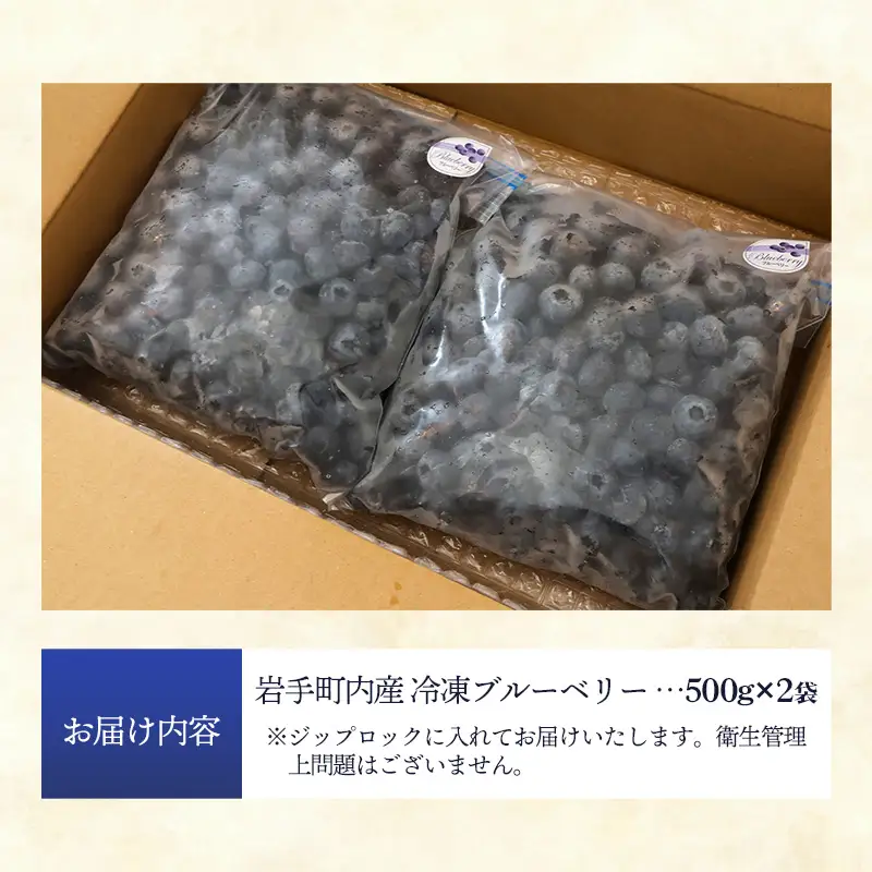 ブルーベリー 訳あり 冷凍 1㎏ フルーツ ベリー 果物