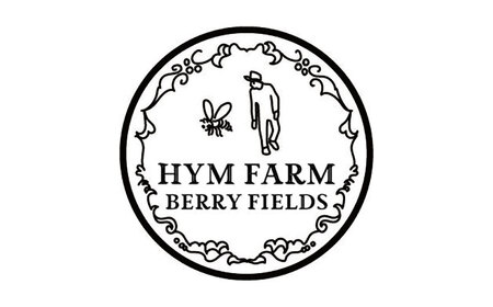 2024年産 糸島産ブラックベリースパークリングワイン 375ml 2本セット / 糸島市 / HYM FARM / お酒 赤ワイン [AHM003]