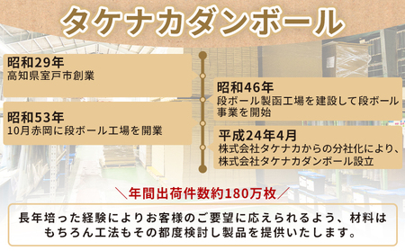 テープレスケース(ネコポスサイズ) 10枚【資材 資材 資材 資材 資材 資材】 ta-0047
