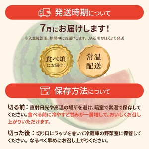 ＜2027年収穫分 先行予約＞大崎すいか 1箱（大2玉入り）| すいか 甘い