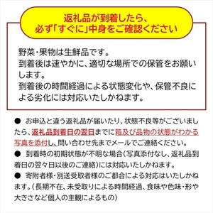 【期間限定】桃源郷の桃 約3kg（2026年8月1日～20日出荷／北海道・沖縄・離島は配送不可）完熟 もも モモ フルーツ 産地直送 旬彩 信州 長野 佐久市 品種指定なし 玉数指定なし