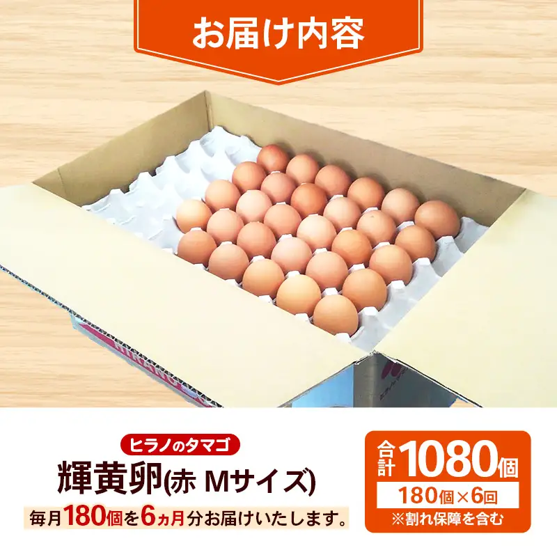 【定期便6回】ヒラノのタマゴ 輝黄卵(きおうらん) 赤Mサイズ 180個 【 割れ保証込み 卵 たまご タマゴ 国産 新鮮 直送 定期便 6回 6ヵ月 輝黄卵 朝ごはん 卵かけごはん 福岡県 筑前町 AJ008】【202609】