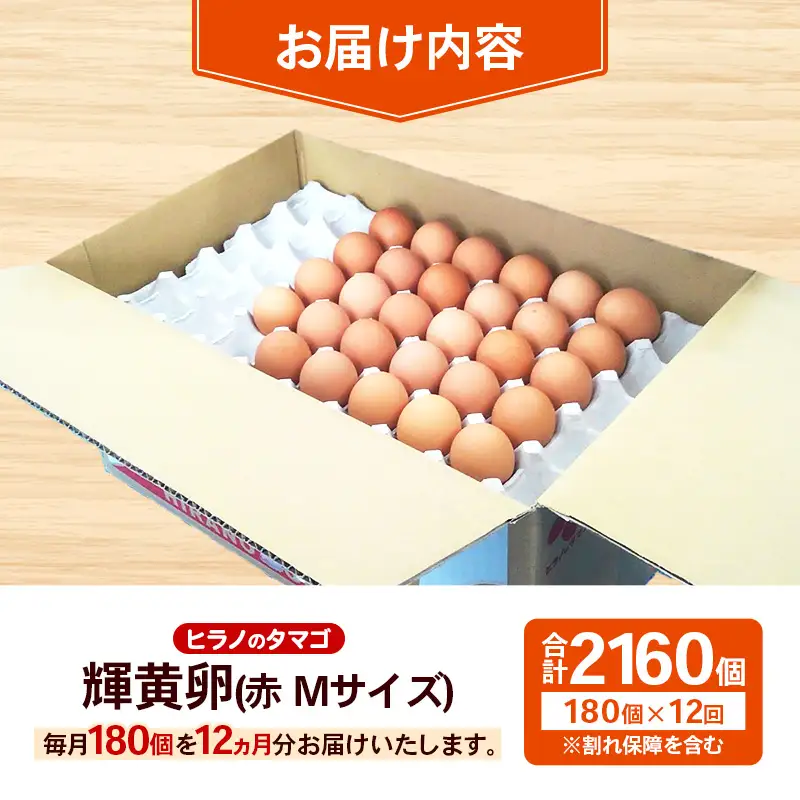 【定期便12回】ヒラノのタマゴ 輝黄卵(きおうらん) 赤Mサイズ 180個 【 割れ保証込み 卵 たまご タマゴ 国産 新鮮 直送 定期便 12回 12ヵ月 輝黄卵 朝ごはん 卵かけごはん 福岡県 筑前町 AJ009】【202609】