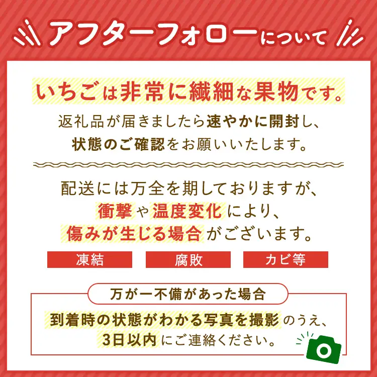 朝摘み完熟『とちあいか』 栃木のイチゴ　大粒　280g以上×4P | いちご イチゴ 苺 栃木県 果物 フルーツ 甘い 酸味 さっぱり 完熟 ※2027年1月～発送