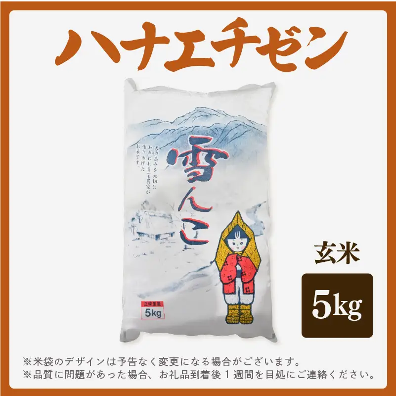 【先行予約】【令和8年産・新米】ハナエチゼン 5kg【玄米】【2026年10月中旬以降順次】 華越前 人気品種  福井県ブランド  [e26-a014_02]