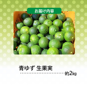 訳あり 青ゆず 生果実 約2kg_MM0207