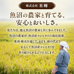 【令和8年産 先行予約】農産物検査員お奨め 魚沼産こしひかり（精米）6kg（3kg×2）米 コメ こめ お米 おこめ 白米 コシヒカリ 新潟県産 人気 お取り寄せ