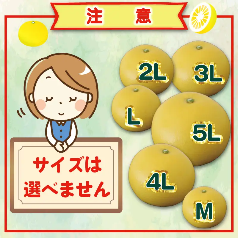 羽賀農園の土佐文旦 10kg家庭用（小玉） 土佐文旦