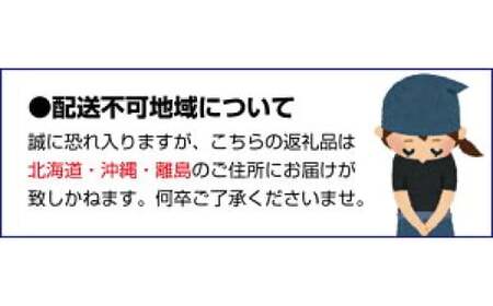 ハウスみかん 0.5kg+250g(傷み補償) 厳選/ ハウスミカン 温室みかん 有田みかん 甘い 訳あり 和歌山 柑橘 ※7月中旬～8月下旬に順次発送 ※北海道・沖縄・離島への配送不可 【ikd002-p-0d5A】