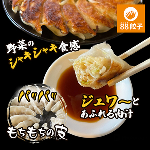 餃子 浜松餃子 88ぱちぱち 40個 食べ比べ 餃子
