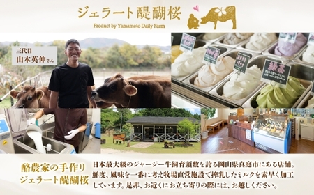 【ジェラート醍醐桜】恋するジャージー さくら 6個セット / 岡山 真庭 醍醐桜 極上スイーツ 濃厚 プレゼント 贈答 デザート ギフト ジャージー牛 ミルク ジェラート おやつ 桜餅 桜の塩漬け 子供から大人まで 冷凍 人気 贅沢 家庭用にも【jfg-daigo016】